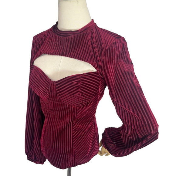 Lulus Womens Striped Cutout Burgundy Velvet Bustier Bodysuit Size Medium Balloon - Picture 3 of 15
